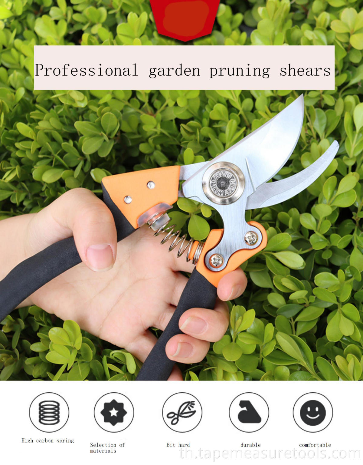 เครื่องมือสวน Gardening Shears สาขากรรไกรกรรไกรตัดแต่งกิ่งบ้านสวน Fine Pruning Grafted ผลไม้กรรไกร